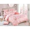 Am01S## CotttonBedsheet